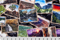 Multi Black National Parks Digital Cuddle Black Fabric per yard