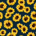 Navy Sunflower Dance 45" wide Fabric per yard