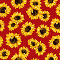Poppy Red Sunflower Dance 45" wide Fabric per yard