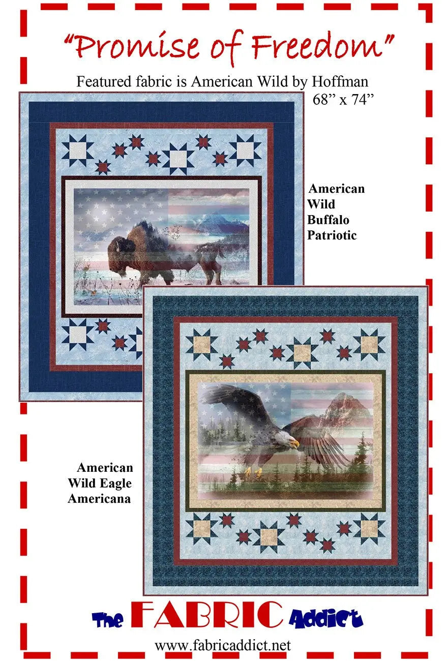 Promise of Freedom
