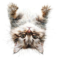 Quirky Cat Fabric Panel 8