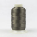 R6107 - Splendor™ 40wt Rayon Canteen Thread