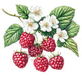 Raspberry Gardens Fabric Panel 20