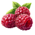 Raspberry Gardens Fabric Panel 32