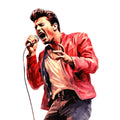 Red Rock and Roll Fabric Panel 27