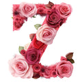 Rose Alphabet Fabric Panel 22