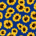 Royal Sunflower Dance 45" wide Fabric per yard