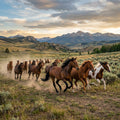 Running Horses Sundown Fabric Panel 1