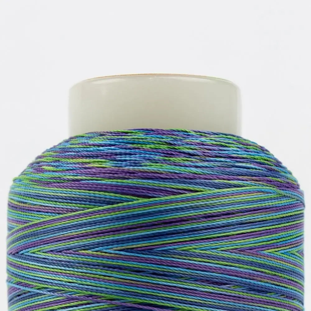 SCM17 - Silco™ 35wt Cotton Purple Blue Green Thread