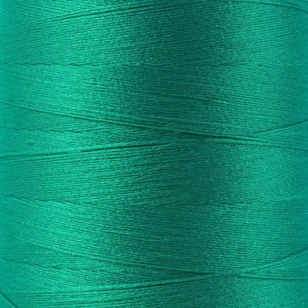 SL54 - SoftLoc™ Wooly Poly Paradise Thread