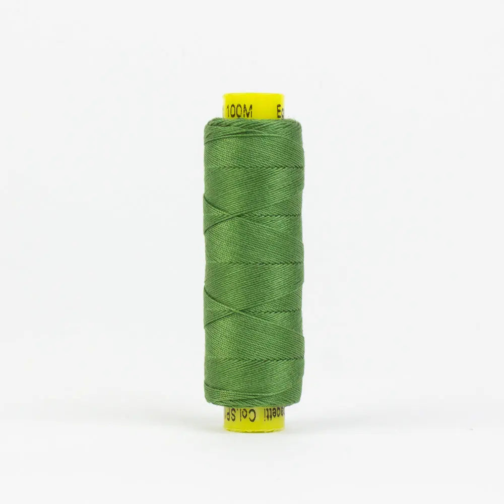 SP12 - Spagetti™ 12wt Egyptian Cotton Medium Fern Green Thread