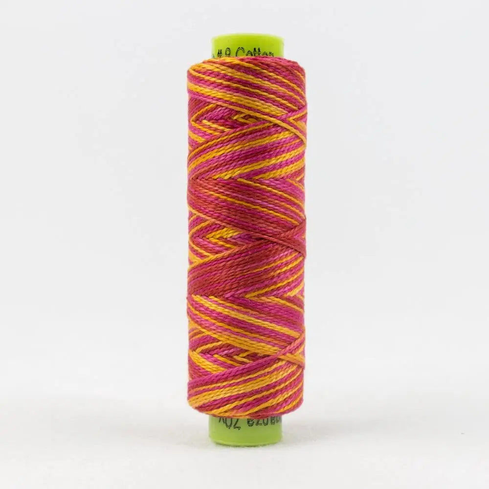 SSEZM25 - Eleganza™ Egyptian Cotton Clambake Thread