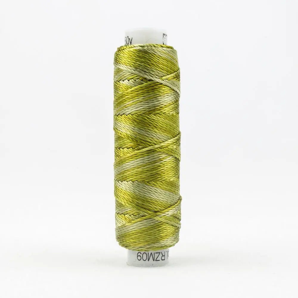 SSRZM09 - Razzle™ 8wt Rayon Marsh Grass Thread