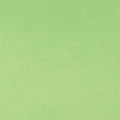 Sage Solid Cuddle 3 58/60" Fabric per yard