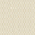 Sail Away - Netting - Ecru 44" / 45" Fabric Per Yard