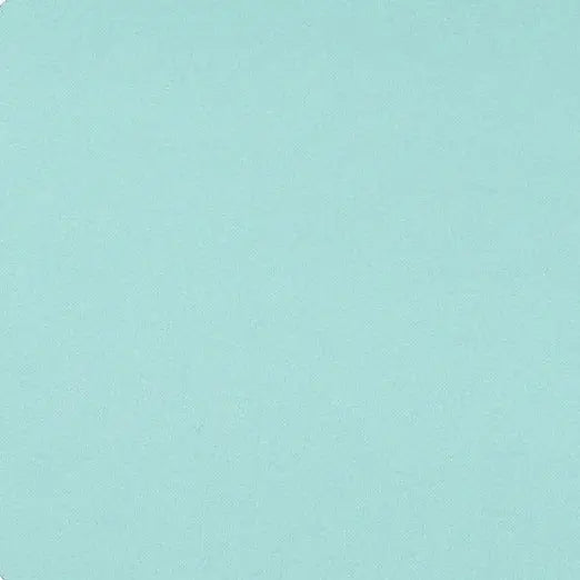 Saltwater Cuddle 3 Extra Wide Solid Minky Fabric per yard