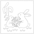 Sashiko Cloth Rappit - White