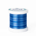 Silk #100 - 05V Variegated Blue Spool