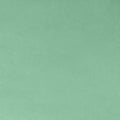 Spearmint Solid Cuddle 3 58/60" Fabric per yard