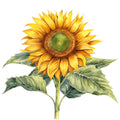 Summer Sunflowers Fabric Panel 10