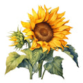 Summer Sunflowers Fabric Panel 12