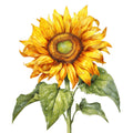 Summer Sunflowers Fabric Panel 17