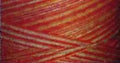 Swirls Maxi-Lock Polyester Serger Thread 50wt 3000yds Vari Orange Creamsicle