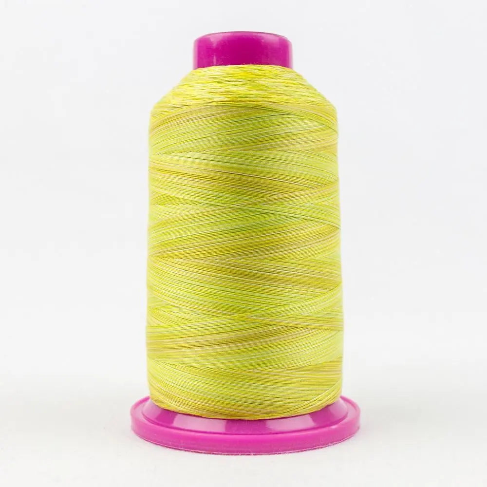 TU03 - Tutti™ 50wt Egyptian Cotton Citrus Thread
