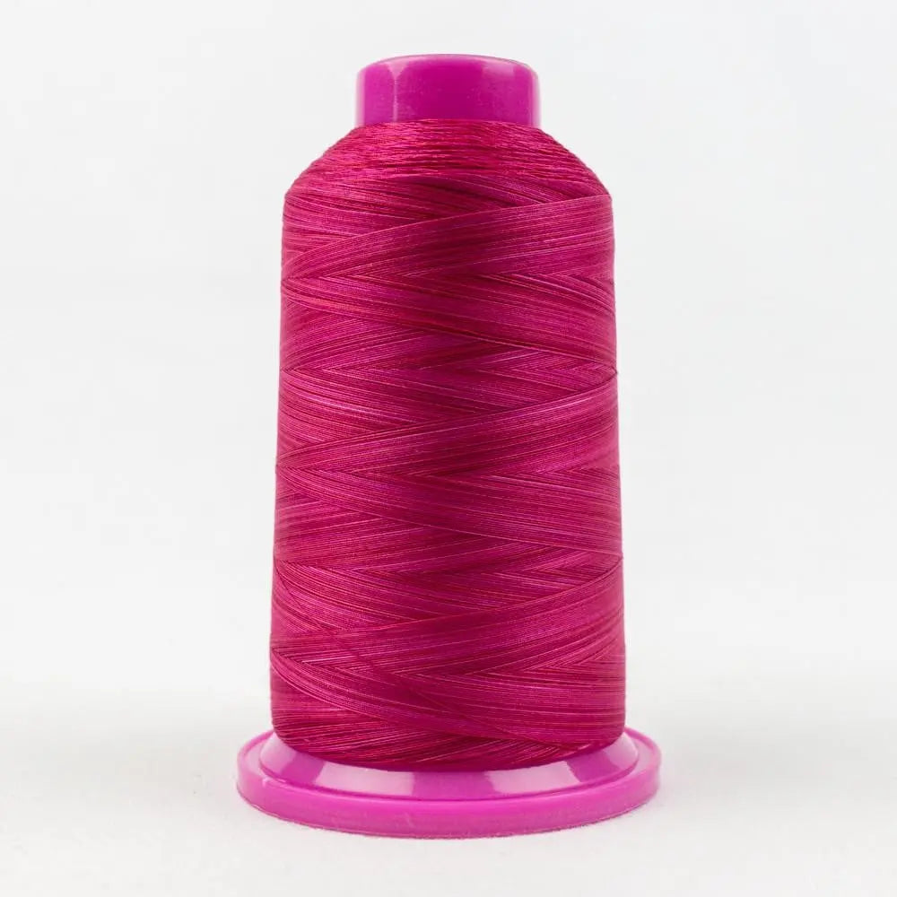 TU10 - Tutti™ 50wt Egyptian Cotton Roses Thread