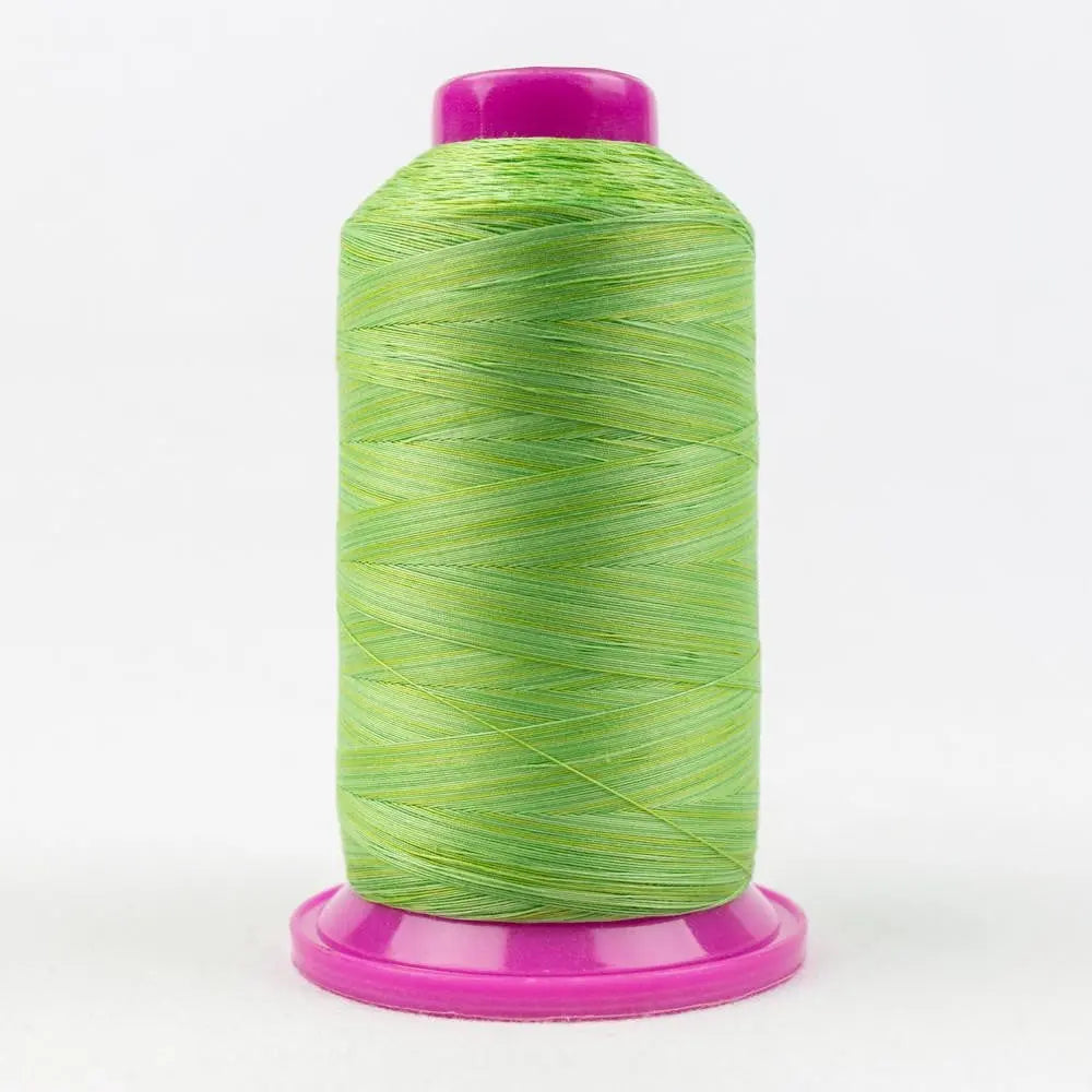 TU29 - Tutti™ 50wt Egyptian Cotton Grass Thread