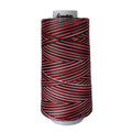 M02 Holiday Signature Cotton Variegated Thread