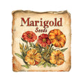 Vintage Seed Packet Fabric Panel 2