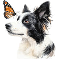 Watercolor Border Collie Fabric Panel 14