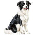 Watercolor Border Collie Fabric Panel 21