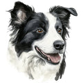 Watercolor Border Collie Fabric Panel 24