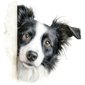 Watercolor Border Collie Fabric Panel 9