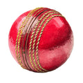 Watercolor Cricket Fabric Panel 15