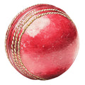 Watercolor Cricket Fabric Panel 16