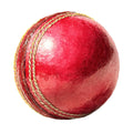 Watercolor Cricket Fabric Panel 25