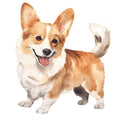 Watercolor Dogs Fabric Panel 23