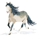 Watercolor Horses Fabric Panel 30