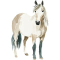 Watercolor Horses Fabric Panel 56