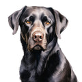 Watercolor Labrador Fabric Panel 23