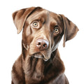 Watercolor Labrador Fabric Panel 41