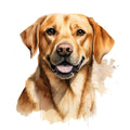 Watercolor Labrador Fabric Panel 45