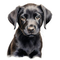 Watercolor Labrador Fabric Panel 6