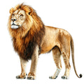 Watercolor Lion Fabric Panel 25