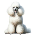 Watercolor Poodles Fabric Panel 40