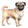Watercolor Pug Fabric Panel 27