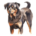 Watercolor Rottweiler Fabric Panel 1